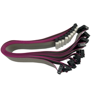 Produsen Profesional Harga Terjangkau Kabel Wire Harness
