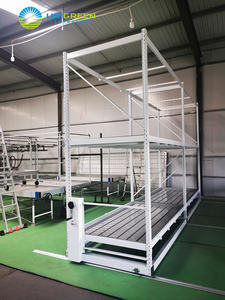 Op Maat Gemaakte Verticale Indoor Landbouw Kassen Dubbele Lagen Groeiende Rack Eb En Flow Rollende Banken - Product Image 4
