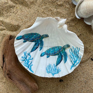 أصداف بحرية بيضاء بالجملة للزينة وديكور حفلات الزفاف وحفلات الشاطئ وفنون الأطفال والحرف اليدوية - Product Image 1