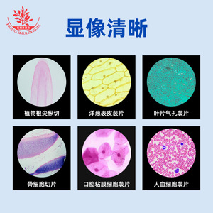 Vente en gros de spécimens biologiques sur glissière en vrac. Matériel pédagogique pour l'école primaire : 11 types de supports fins et très translucides - Product Image 4