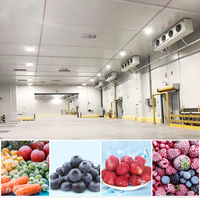 Koelcel voor bananenrijping en mangobewaring, prefab koelcel, eenvoudige installatie voor export, koelruimte