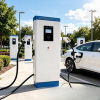 Estación de Carga para Vehículos Eléctricos Jinghu para Exteriores, 120kW, Conector CCS2, Montaje en Suelo, Plataforma OCPP Lista para Usar, Resistente a la Intemperie IP54, TA-DC-FD 120-P