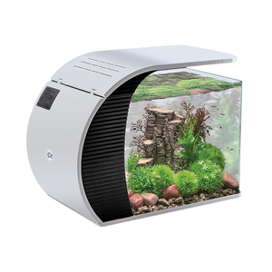 Acquario in Vetro Trasparente Hygger da 5 Galloni con Illuminazione LED, Vasca per Pesci Betta - Product Image 5