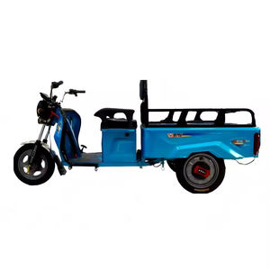 Durable 48v 500W 1.1m <strong>Mini</strong> Electric Tricycles 3 Wheels 2 Seat Open Body Type for Passengers and Cargo - Product Image 6