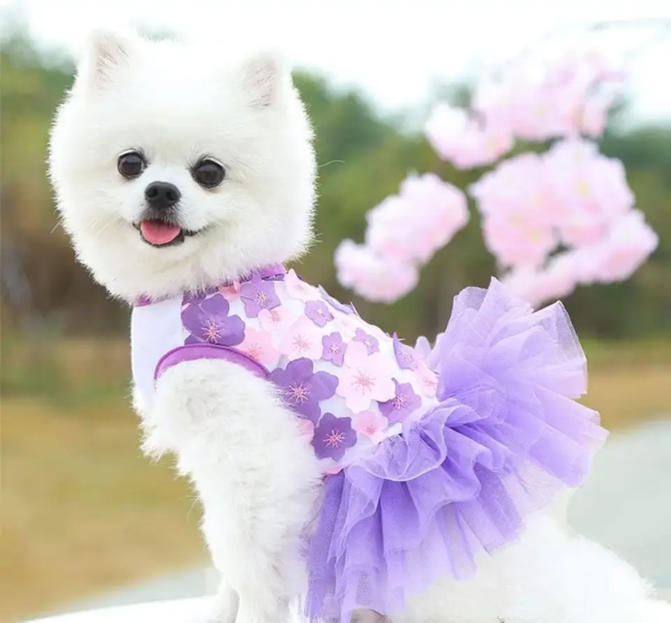 Großhandel Custom Cute Pet Dog Welpen Kleidung Tutus Kleid Kleidung Bekleidung