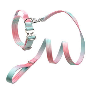 Correa de perro de doble capa degradada, Collar táctico para mascotas, correa de entrenamiento, Collar de cuello de perro para razas medianas y grandes - Product Image 4