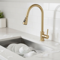 Robinet de cuisine de luxe extractible avec jet cascade et pluie, flexible