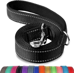 Dog leash Double sided Reflective Dog Leash Padded Handle Nylon ribbons Customized Solid Reflective Nylon Dog Traction Rope