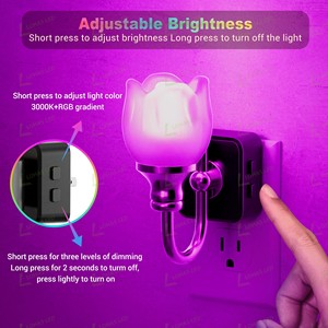 Lampada Notturna LOHAS in Vetro a Forma di Fiore, da Inserire nella Presa a Muro, Dimmerabile 0-100lm, con Sensore Crepuscolare, Stile Vintage per Camera da Letto e Bagno - Product Image 4
