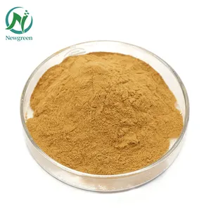 Hot Selling Acacia Catechu Bark Extract in Stock