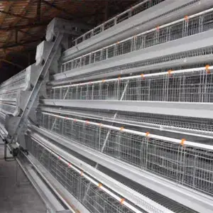 Best Seller Galvanized Egg Layer Chicken Battery Cage Used For Farm Poultry Hens Raising Hens Multifunctional Provided Xly-jt211