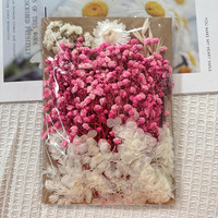Natürlich Konservierte Gepresste Getrocknete Blumen und Pflanzen für Gemischte Packungen, Handwerk, Aromatherapie, Kerzen, Epoxidharz DIY-Zubehör