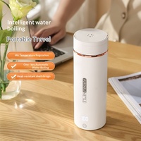 Bouilloire Électrique Portable Universelle en Acier Inoxydable 300W pour Voyage et Usage Domestique, Protection Anti-Ébullition à Sec, Garantie 1 An