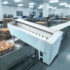 Easy Clean <b>Egg</b> Cleaning <b>Machine</b> Low Maintenance Automatic <b>Egg</b> Washing <b>Machine</b> for Daily Use - Product Image 5