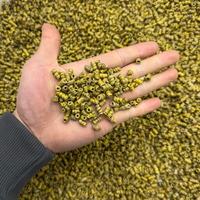 Poudre d'extrait de Dendrobium de haute qualité, marque privée OEM, pour complément alimentaire et aliment fonctionnel