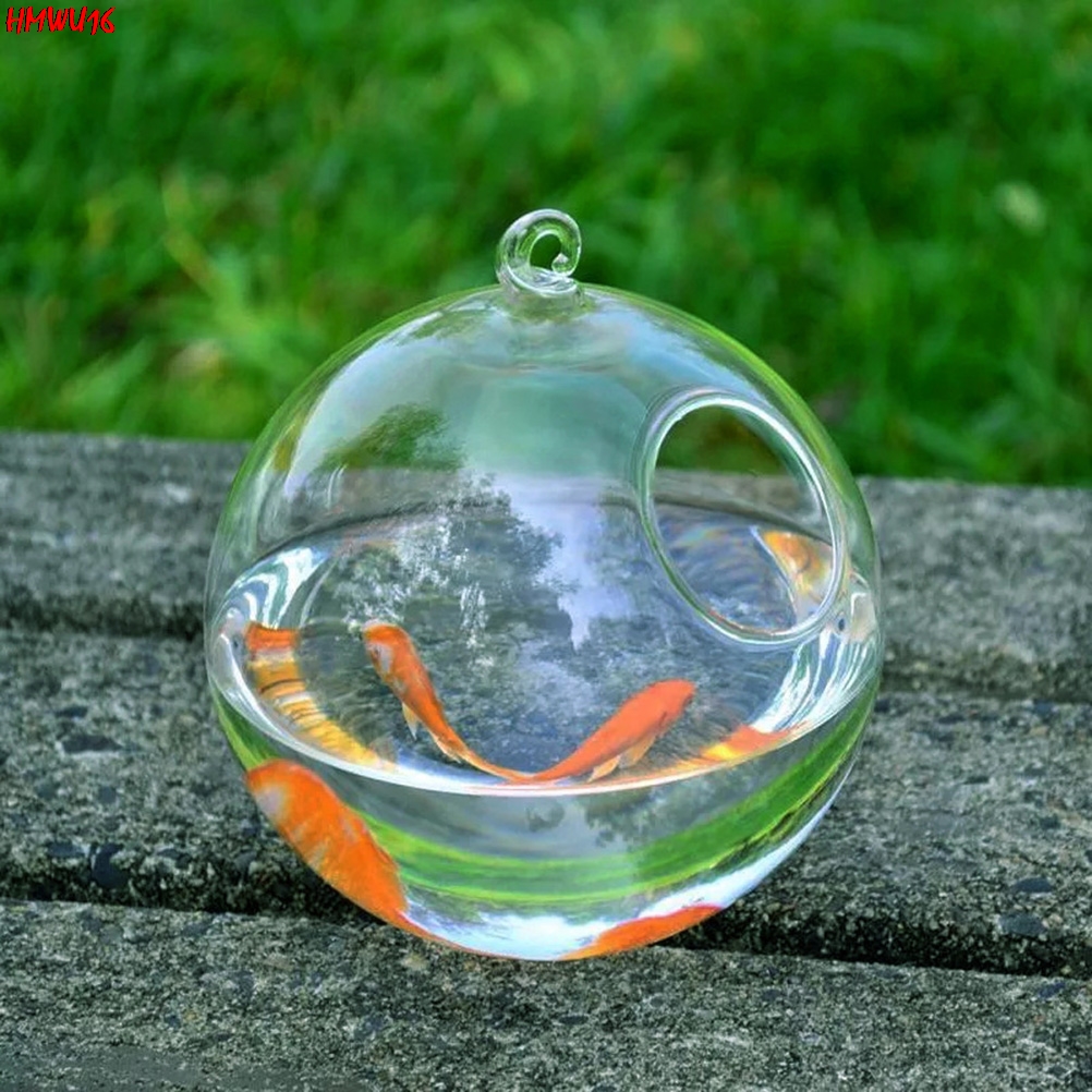 Vaso In Vetro Rotondo Da 20x20x20 Cm, Per Pesci Rossi O Acquario, Trasparente Con Apertura Da 13 Cm, Ideale Anche Come Vaso Idroponico