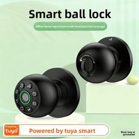 Serrure de porte intelligente Tuya à empreinte digitale, connectée au cloud, pour entrée sans clé rechargeable, idéale pour la maison, le bureau, la chambre, l'appartement, garantissant la confidentialité