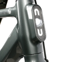 Vélo électrique à entraînement de ceinture, bicyclette électrique de route, ville, collection 2023, 36v / 48v 250w 350w