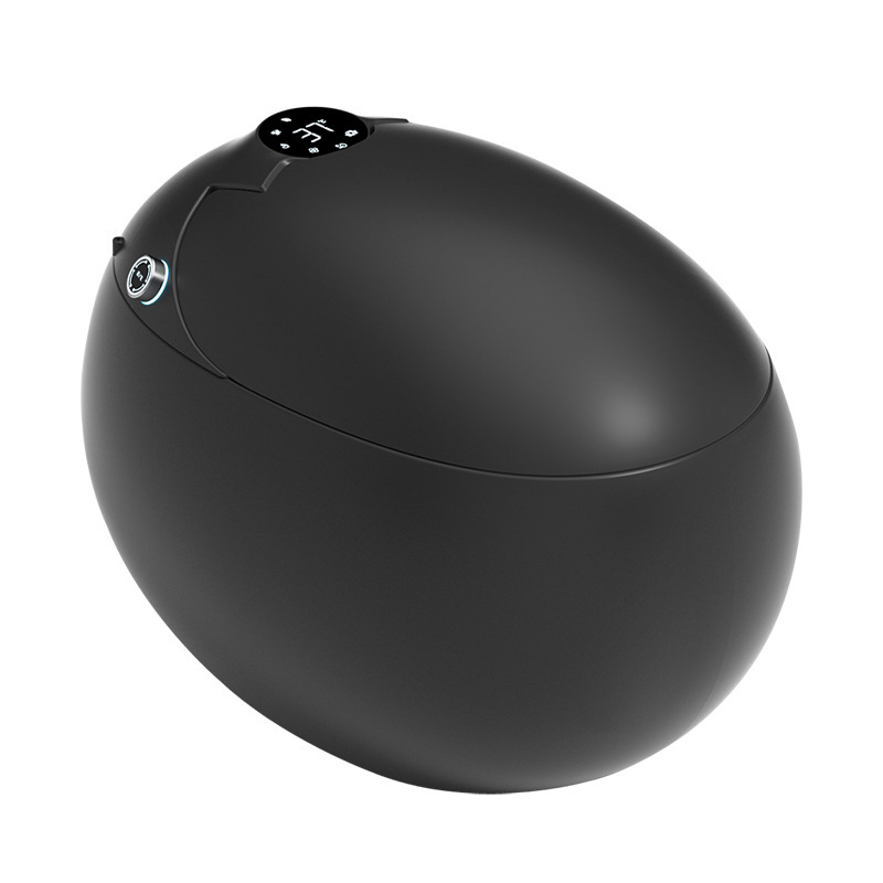 New Egg Shape Black Intelligent Toilet