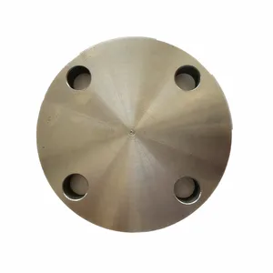 2024 Astm A182 F316l Customized Stainless Steel Flange Blind Rtj 900 A105 Jis 1k Flange