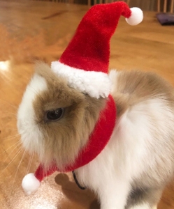 Thú Cưng thỏ Hà Lan lợn chinchillas thú cưng chồn Mũ giáng sinh trang phục vui nhộn - Product Image 3