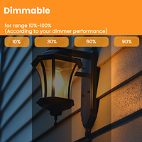 Ampoule LED à filament G16.5/G50 E26 à économie d'énergie 5,5W 550LM certifiée ETL pour l'éclairage décoratif ambiant rétro de café et bistro