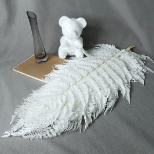 Reale Vita Eterna Fiori Grandi Foglie di Felce Fiddlehead Materiale per Tutti I Giorni Della Decorazione Garniture Decorazione - Product Image 2