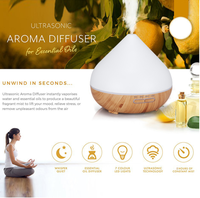 Appareils ménagers OEM mini diffuseur de parfum humidificateur d'air ultrasonique électrique machine d'aromathérapie diffuseur d'huiles essentielles