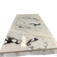 Panneaux muraux modernes en PVC à motif rocheux |   Décoration intérieure pour hôtels et foyers |   Revêtement UV de qualité commerciale pour toutes les saisons