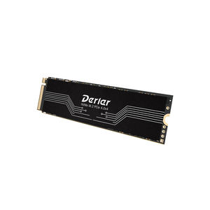 Derlar DN850 PCIe 4.0 NVMe 7000MB/s 2280 Interne Solid State Drive voor High-End Computing, Gaming en zware werkstations - Product Image 1