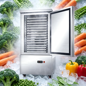 <span class=keywords><strong>Mini</strong></span> Congelador Rápido Integrado, Enchufar y Usar, Ahorro de Energía, -45°C a 0°C, Congelador Comercial Pequeño para Panadería, Tiendas de Aperitivos, 1 - Product Image 5