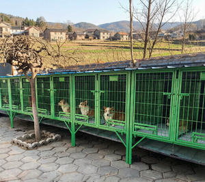 <span class=keywords><strong>Cage</strong></span> extérieure robuste en acier soudé renforcé pour grands chiens, idéale pour l'élevage et les fermes canines - Product Image 1