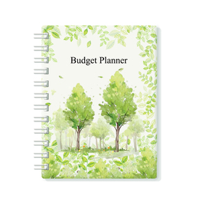 Agenda Finanziaria Mensile, Organizzatore e Libro per la Gestione del Budget. Quaderno di controllo spese per gestire il tuo denaro. Non datato - Product Image 2