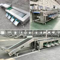 Elektronische fruit- (appel, knoflook, ananas, wortel) sorteer-, graderings-, was- en wasmachine voor lijnen