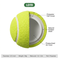 Balles de tennis d'entraînement 2,5 pouces 59g avec revêtement en feutre polyester, rebond 1-1,2m, durables, portables, pour la pratique sportive, OEM ODM