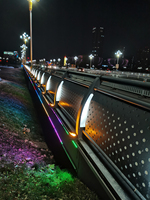 Barrière de pont lumineuse à LED en acier inoxydable 201/304, éclairage décoratif pour bord de mer