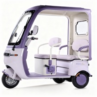 Becak Listrik Tertutup, Rangka Baja, Anti Terguling, Speaker Bluetooth & Penyimpanan Besar