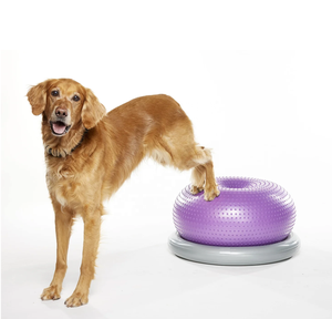 USMILEPET PVC Dog <span class=keywords><strong>Training</strong></span> Donut Ball com Massagem Pontos Core Fortalecimento Exercício Ferramenta para Canine Fitness - Product Image 1