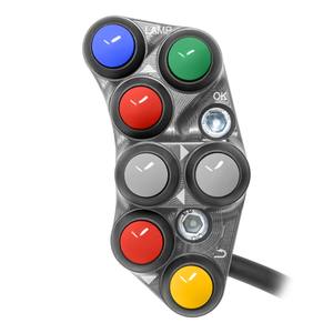 Interrupteur de guidon gauche pour Yamaha XSR 900 GP (Titane) - Product Image 1