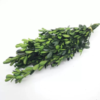 Fleurs décoratives de Noël, plantes naturelles, véritables, préservées, buis, petites feuilles de buis pour couronnes de Noël