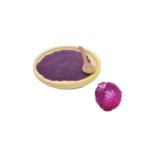 100% Semprot Pengeringan Bubuk Jus Kubis Ungu, Bubuk Jus Kubis Merah Larut Air - Product Image 3