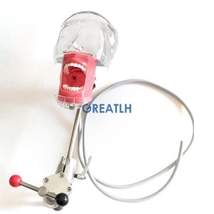 Simulatore di fantasma dentale del modello del simulatore della testa fantasma del manichino del supporto da tavolo dentale per istruzione del dentista - Product Image 4