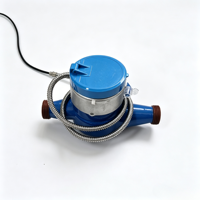 32mm Diameter Electronic Hot Water Meter with Remote Transmission