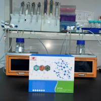 Human EPI ELISA Research Kit
