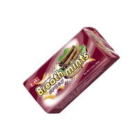 Marque privée, fournisseur de confiseries, tablette à saveur variée personnalisée, bonbons à la menthe aigre au xylitol pressé avec emballage en métal
