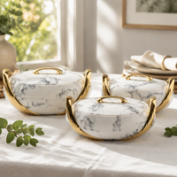 Ensemble de casseroles chauffe-plats en ABS et acier inoxydable, isolées, grande capacité, durables, portables, pour usage en cuisine et mariages