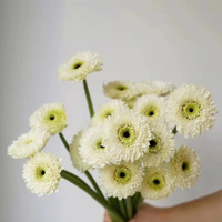 Grosir berbagai gaya tunggal Mini krisan rangkaian bunga sutra buatan krisan Gerbera untuk wisuda