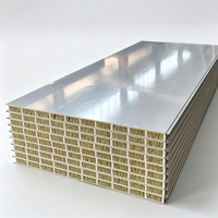 Panneaux sandwich MGO isolés thermiquement, ignifuges, pour murs, toits et plafonds, pour salles blanches d'hôpitaux, panneaux muraux MGO