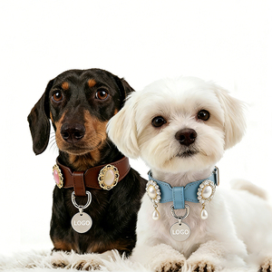 Collier pour <span class=keywords><strong>chien</strong></span> en cuir véritable imperméable avec breloques magnétiques DIY, accessoires détachables et remplaçables, collier pour animal de compagnie personnalisé de luxe - Product Image 2
