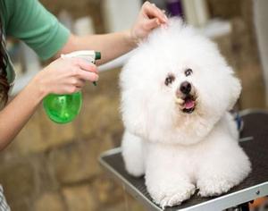 Spray déodorant antibactérien pour animaux, 10 pièces, pour chiens et chats - Product Image 6